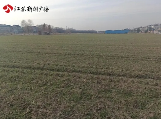 微信截图_20250208111746.png